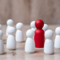 Standardize Processes